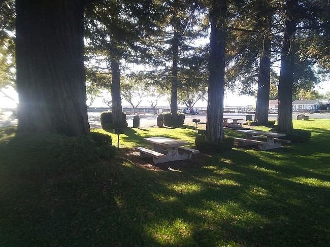 Image of 3385 Ogden Rd