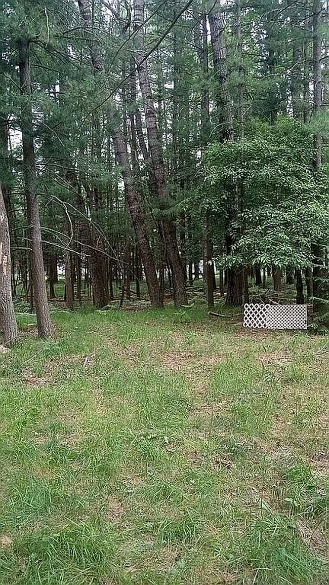 Image of 4337 N Wood Rd