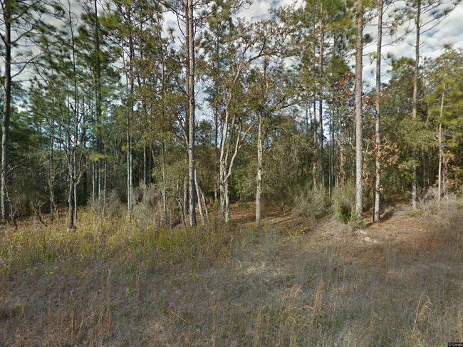 Photo of 10931 Ne 78th Ln, Bronson, FL