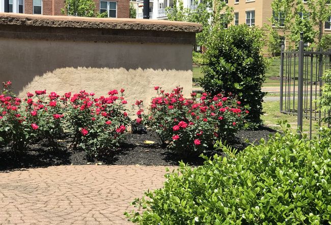 Photo of 1250 S Washington St #515, Alexandria, VA