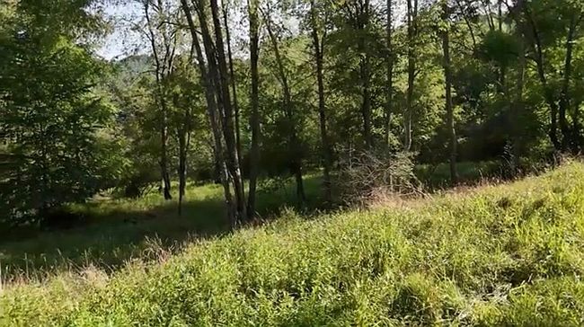 Photo of Pcl 1 Laurel Run Rd, Fairmont, WV