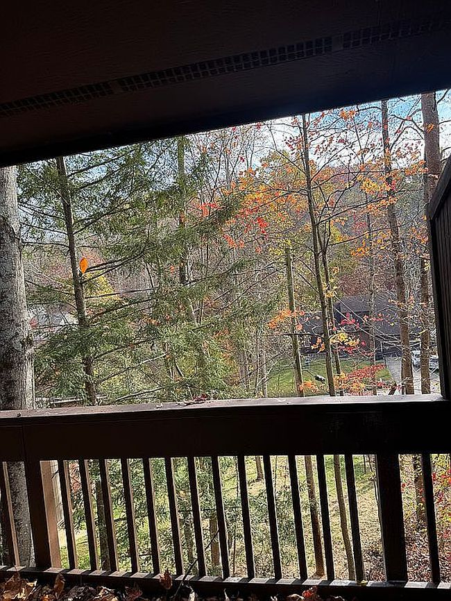 Image of 187 Cascade Dr