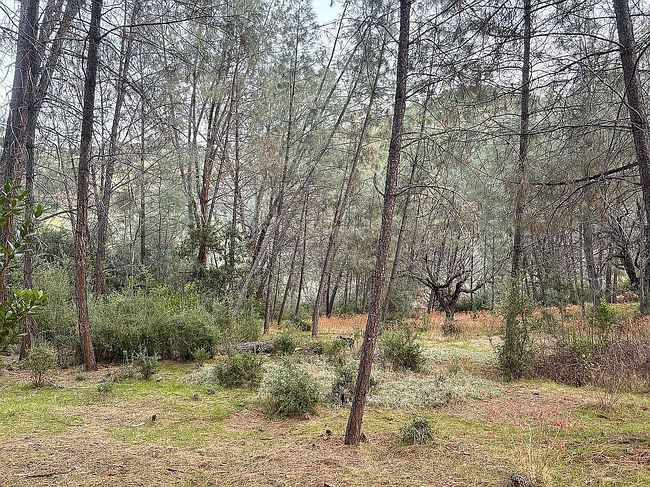 Photo of 4672 Iroquois Trl, Kelseyville, CA