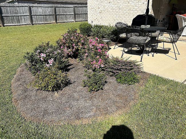 Image of 11189 Persinger Cir