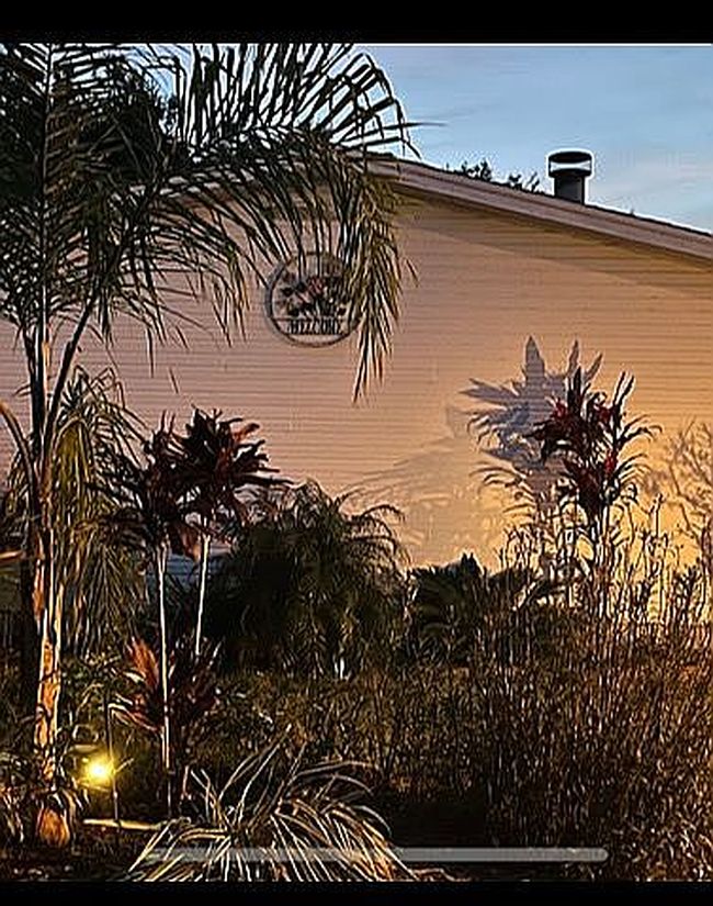 Image of 31 La Casa St