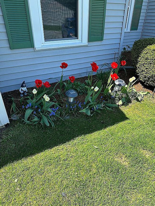 Image of 35 Brickyard Rd Unit 19