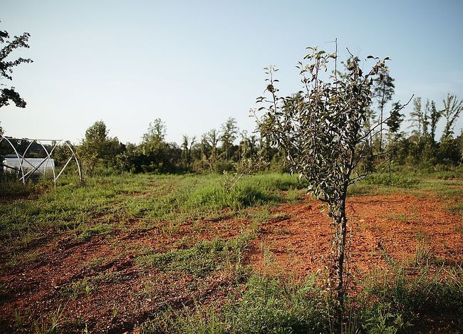 Image of 477 Telegraph Rd
