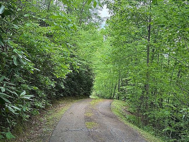 Photo of Black Duck Cir, Whittier, NC