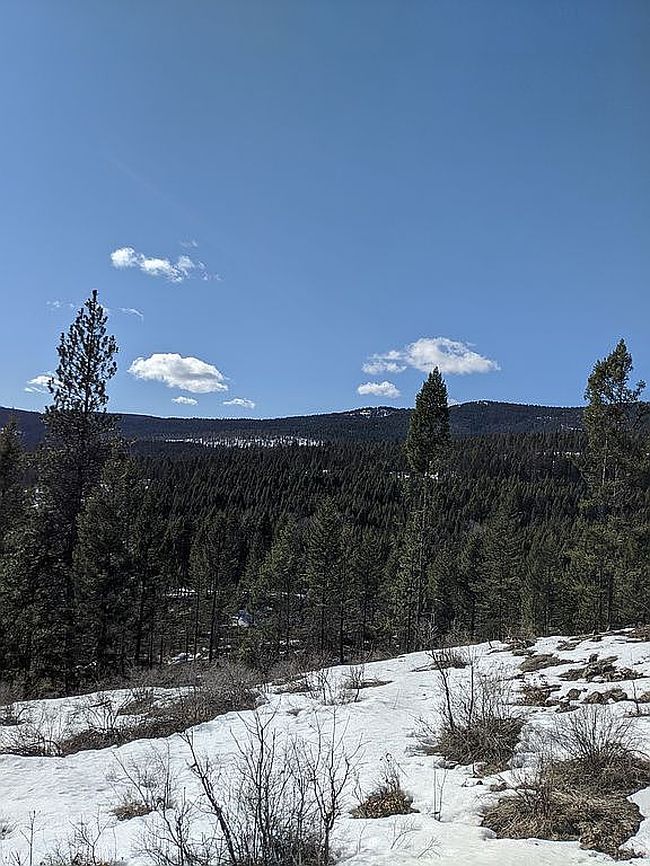 Image of 0 Lot Big Goosmus Creek Rd