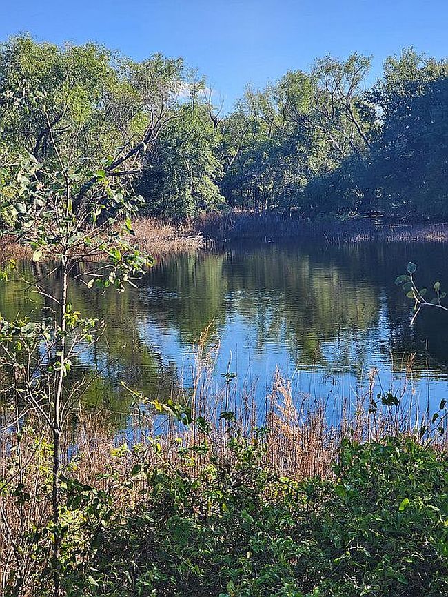 Image of 1408 County Road 309