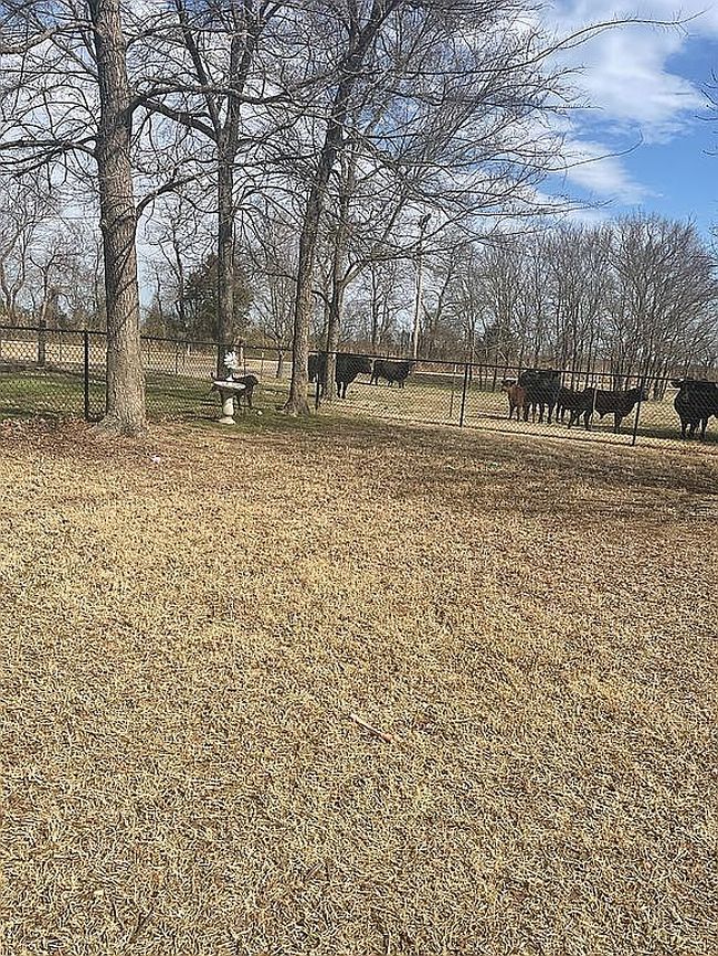 Image of 31095 S 180th Rd