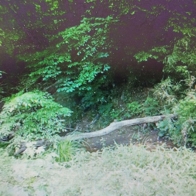 Image of Evans Rd
