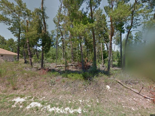 Image of 14 Dianthus Ct