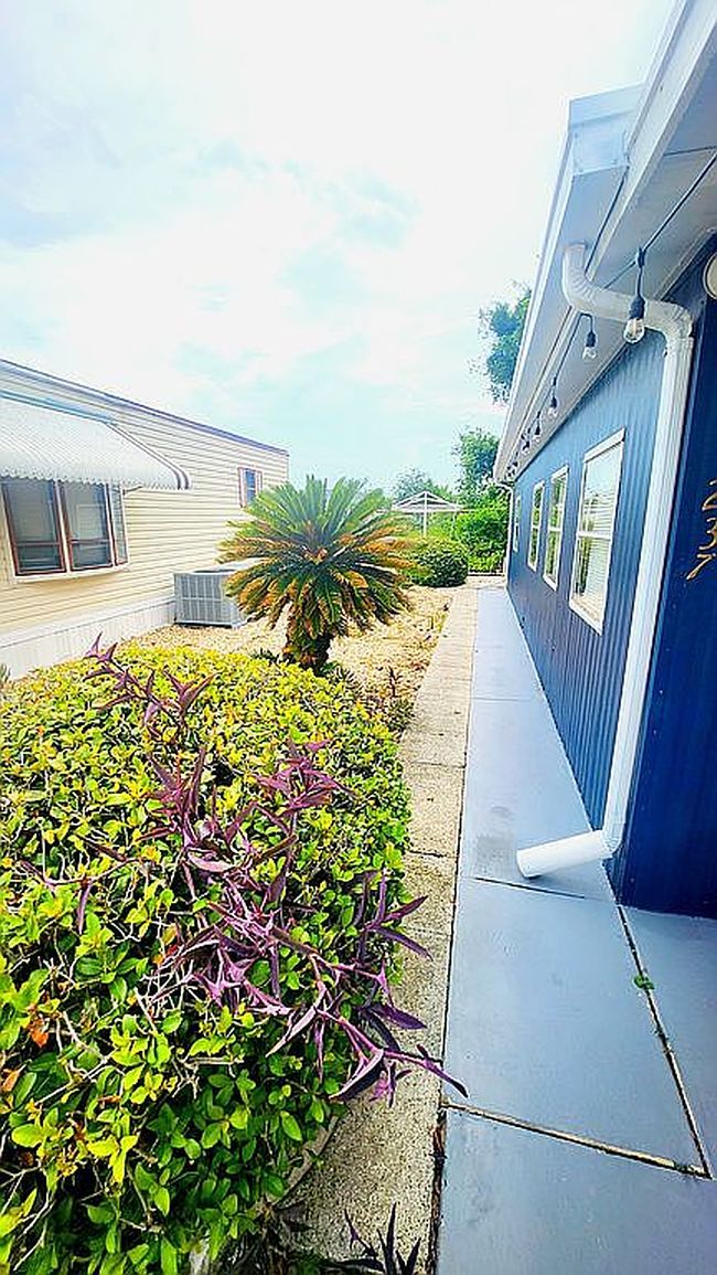 Image of 237 Palm Crest Ln