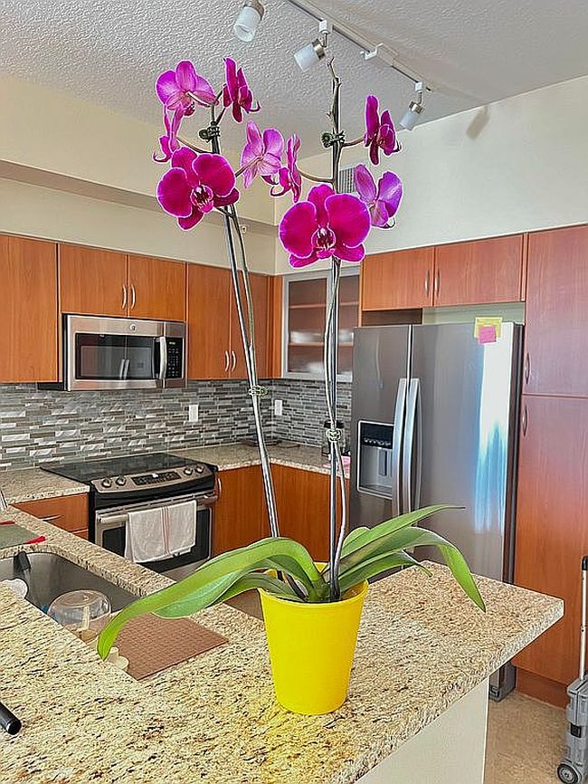 Image of 806 Windward Way #405