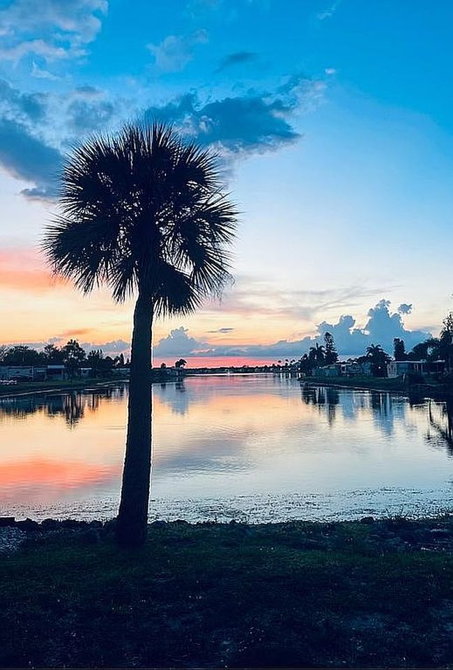 Photo of 800 Kay Rd Ne #1118, Bradenton, FL