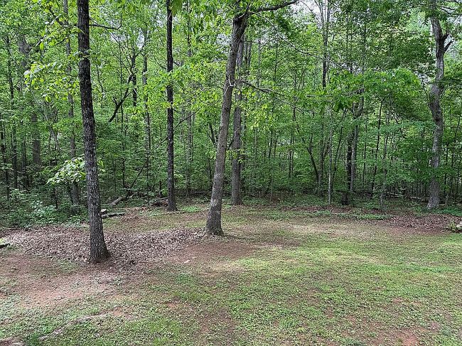 Image of 207 Oakwood Pl