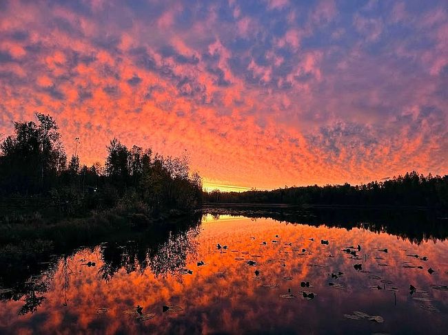 Photo of 691 N Blue Sky Cir, Wasilla, AK