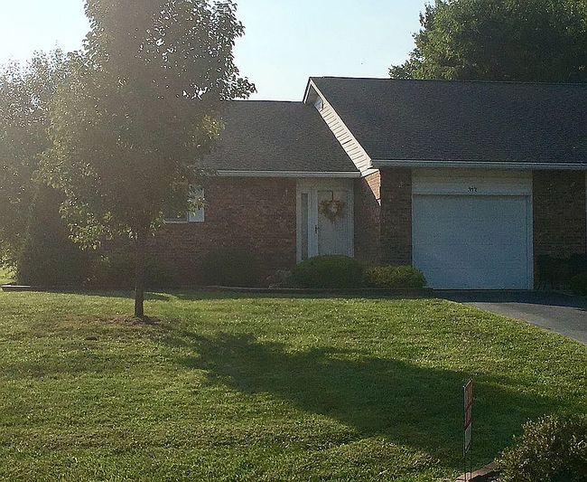 Photo of 313 W Green Tree Ln, Farmington, MO