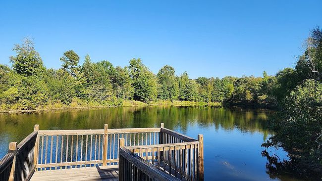 Photo of 8909 Berry Patch Ln, Roland, AR