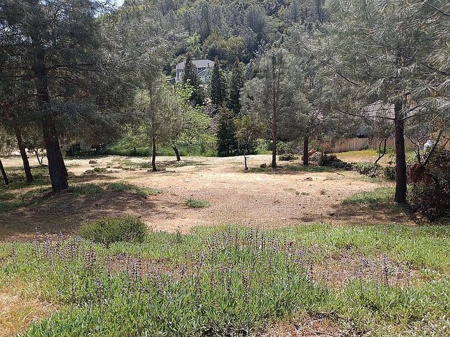Image of 10155 El Capitan Way
