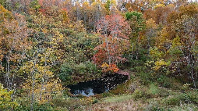 Photo of 191 Goat Farm Rd, Bluefield, WV