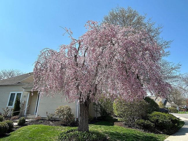 Image of 125 Fairways Cres