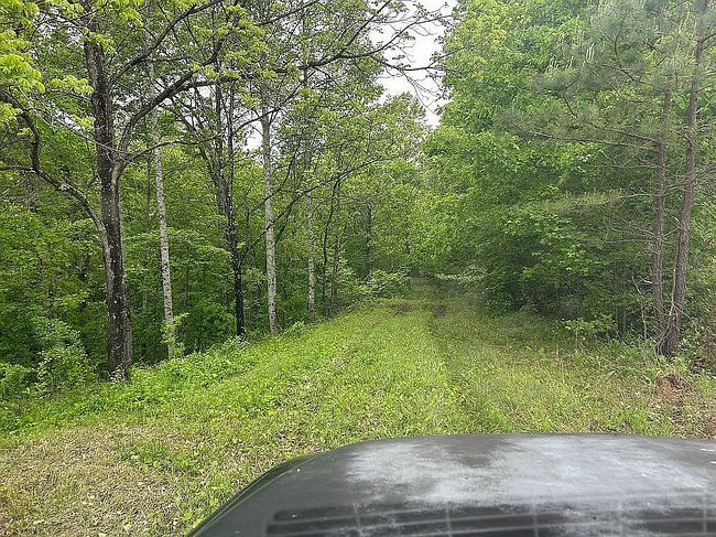 Photo of 740 Little Perry Rd #4, Morehead, KY