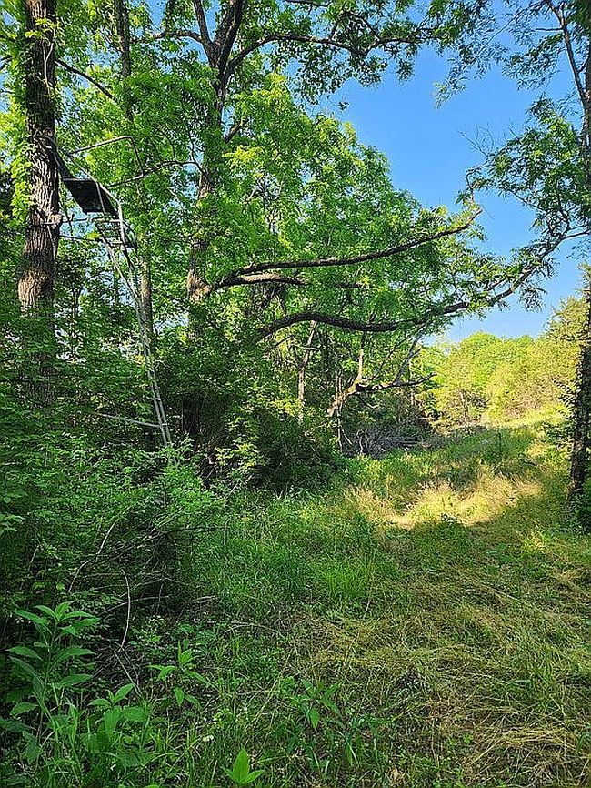 Image of 929 Fisher Rd