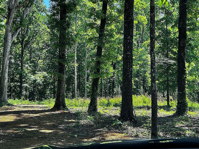 Photo of 21 Butterfly Ct Lot 40