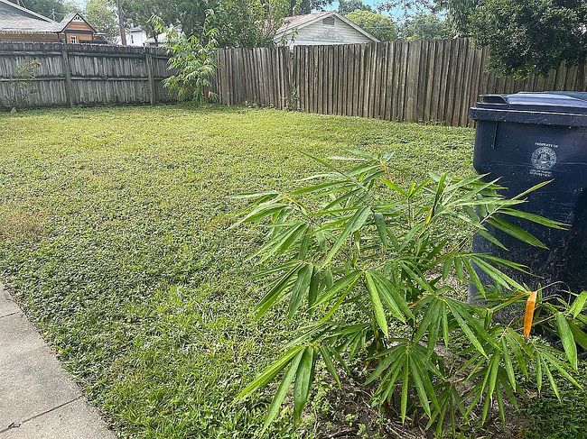Photo of 2914 N Massachusetts Ave, Tampa, FL