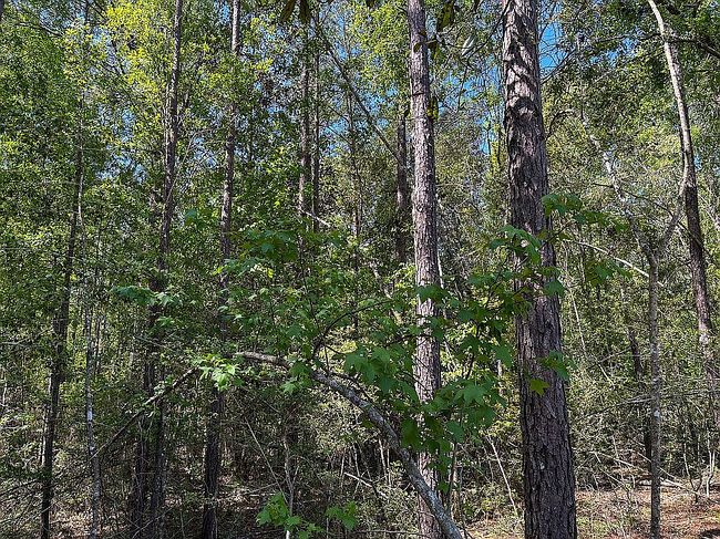 Image of 2710 County Road 4800