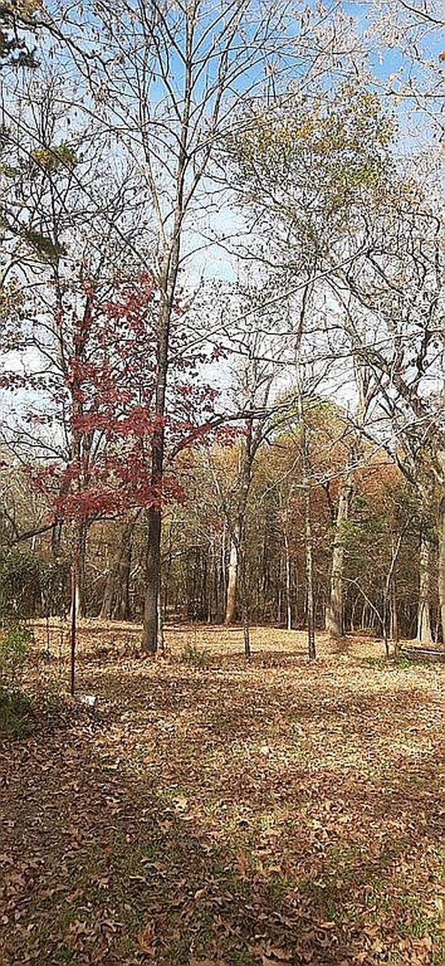 Photo of 7799 Knowles Trce, Tyler, TX