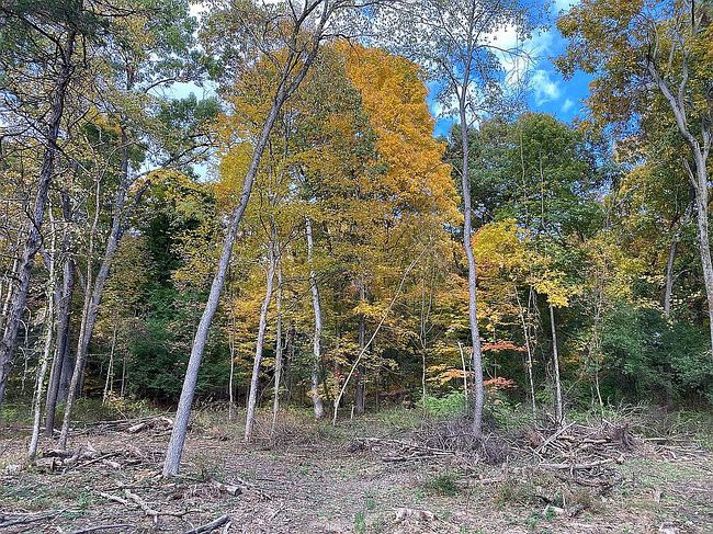 Photo of 414 County Route 25, Hudson, NY