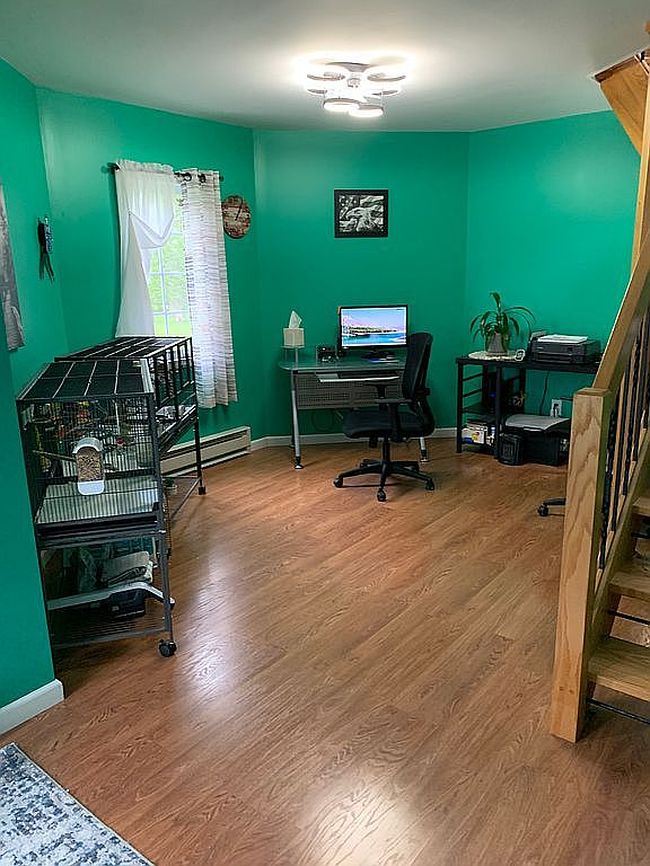 Image of 4333 S Newstead Rd