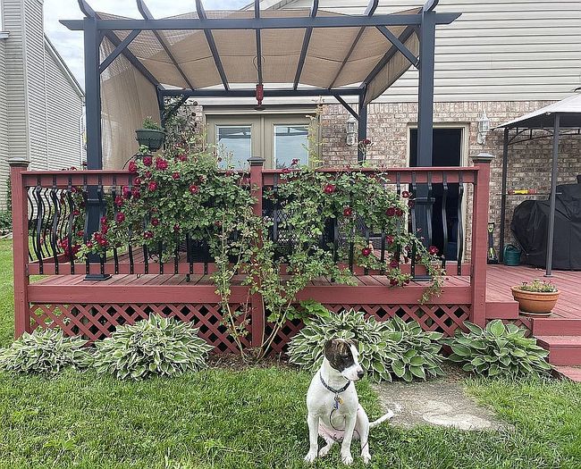 Photo of 144 Fairground Rd, Xenia, OH