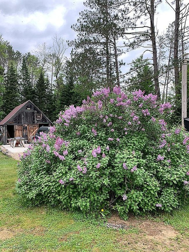 Photo of 468 North Rd, Guildhall, VT