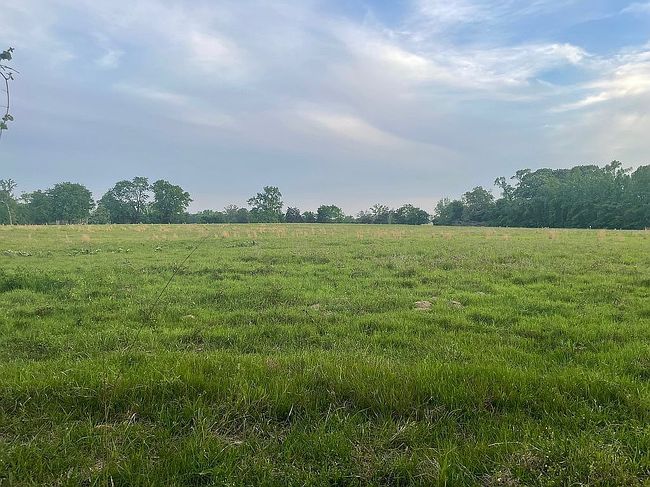 Additional photo 3 of property located at 0 County Road 2403