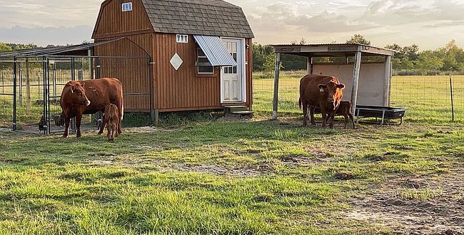 Photo of 734 County Road 3011, Dayton, TX