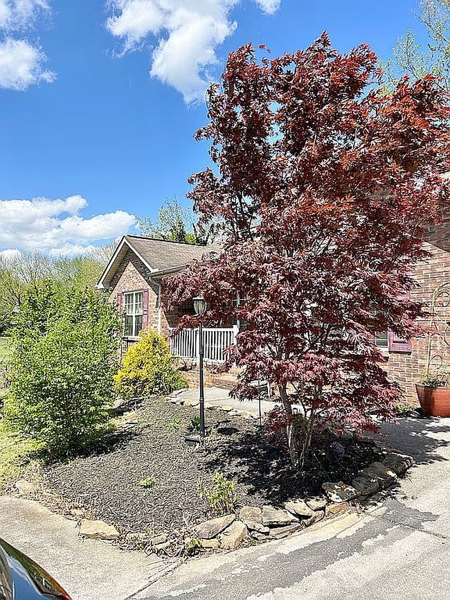 Image of 2209 Tuckaleechee Pike