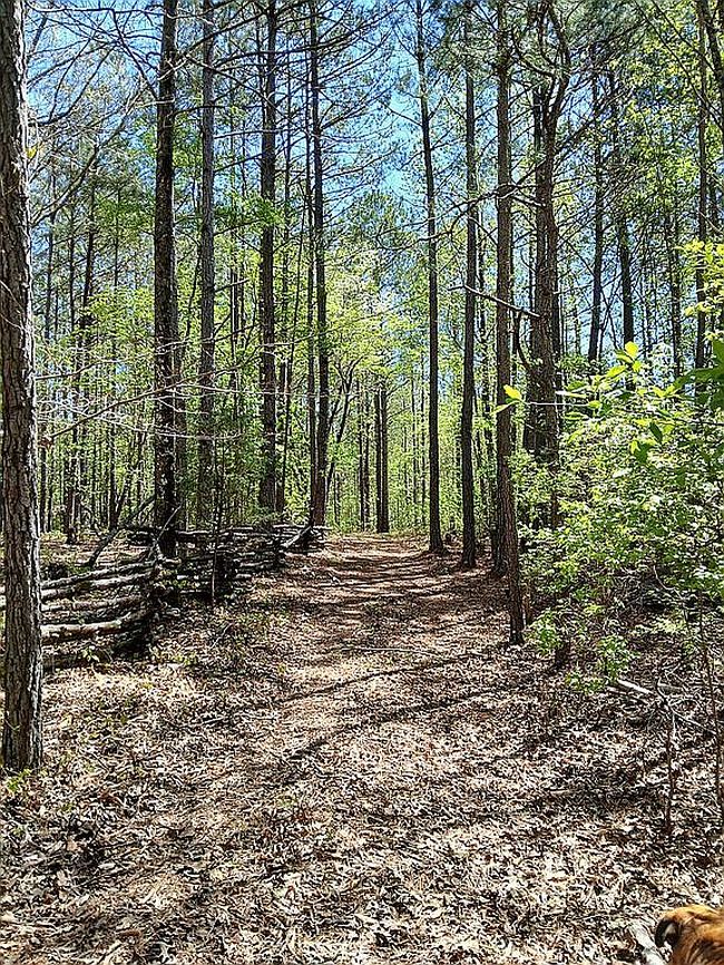 Image of 486 Sweetwater Bnd #2