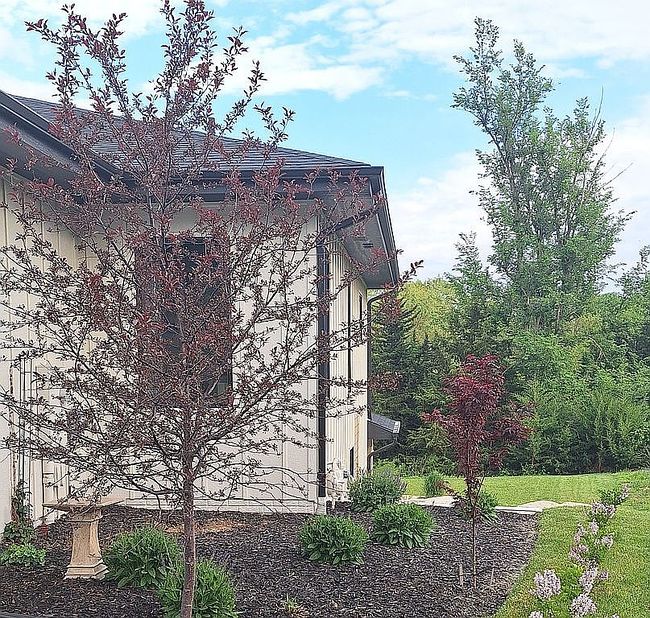 Photo of 22601 Hascall St, Elkhorn, NE