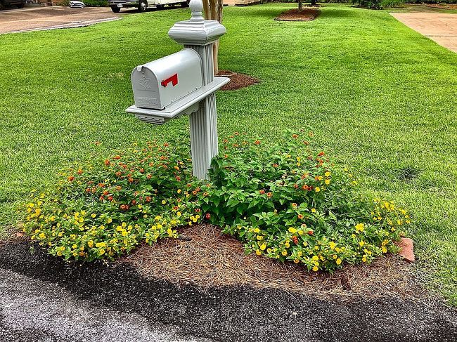Image of 113 Pinewood Dr