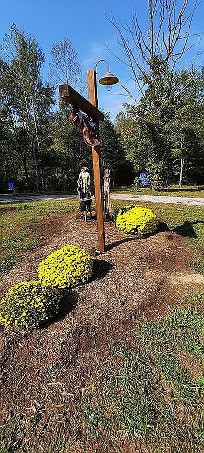 Image of 931 Toms Creek Trl