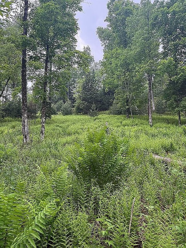 Photo of 684 Olmstedville Rd, Pottersville, NY