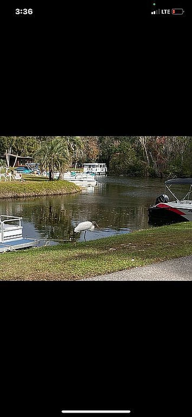 Image of 4 Heron Dr
