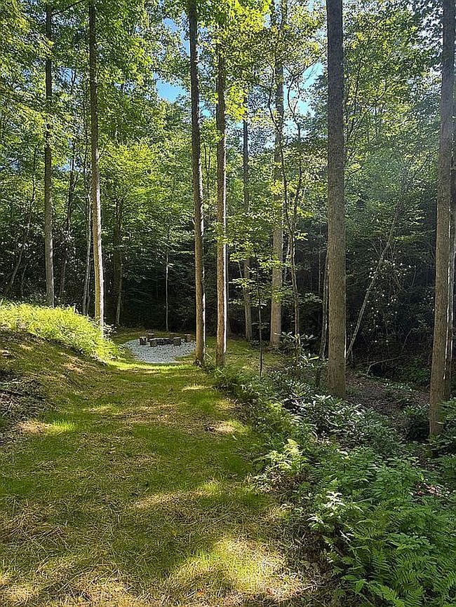 Photo of 308 Black Bear Trl, Topton, NC