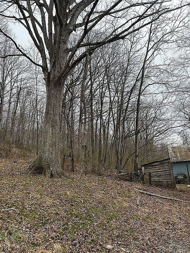 Image of 6021 Panther Creek Rd