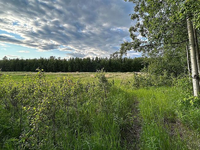 Photo of 4445 W Sedlar Cir, Wasilla, AK
