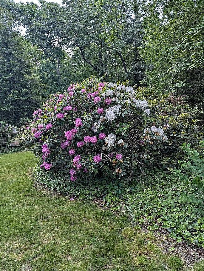 Image of 3223 Wood Dale Rd